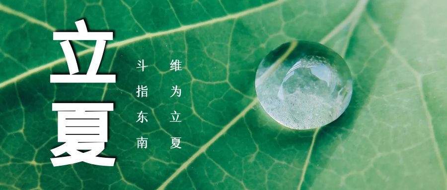 立夏 ▏綠蔭濃，夏日長