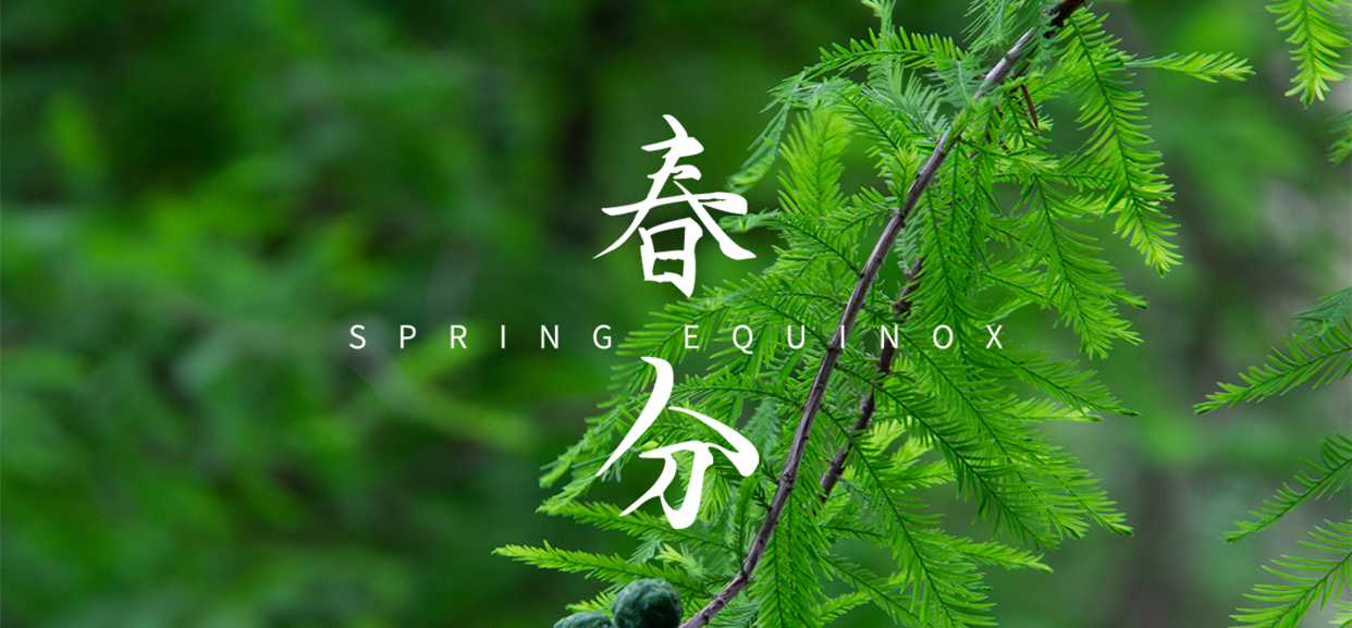 春分 ▎不負春光，萬物生長