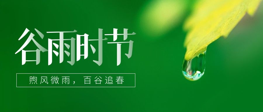 谷雨 ▎雨生百谷，鎖住一抹春色