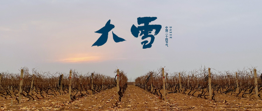 大雪 ▎世界留白，天地靜美